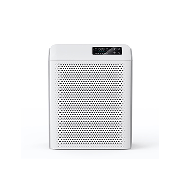 Air Purifier Ganymede