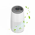 Air Purifier Callisto